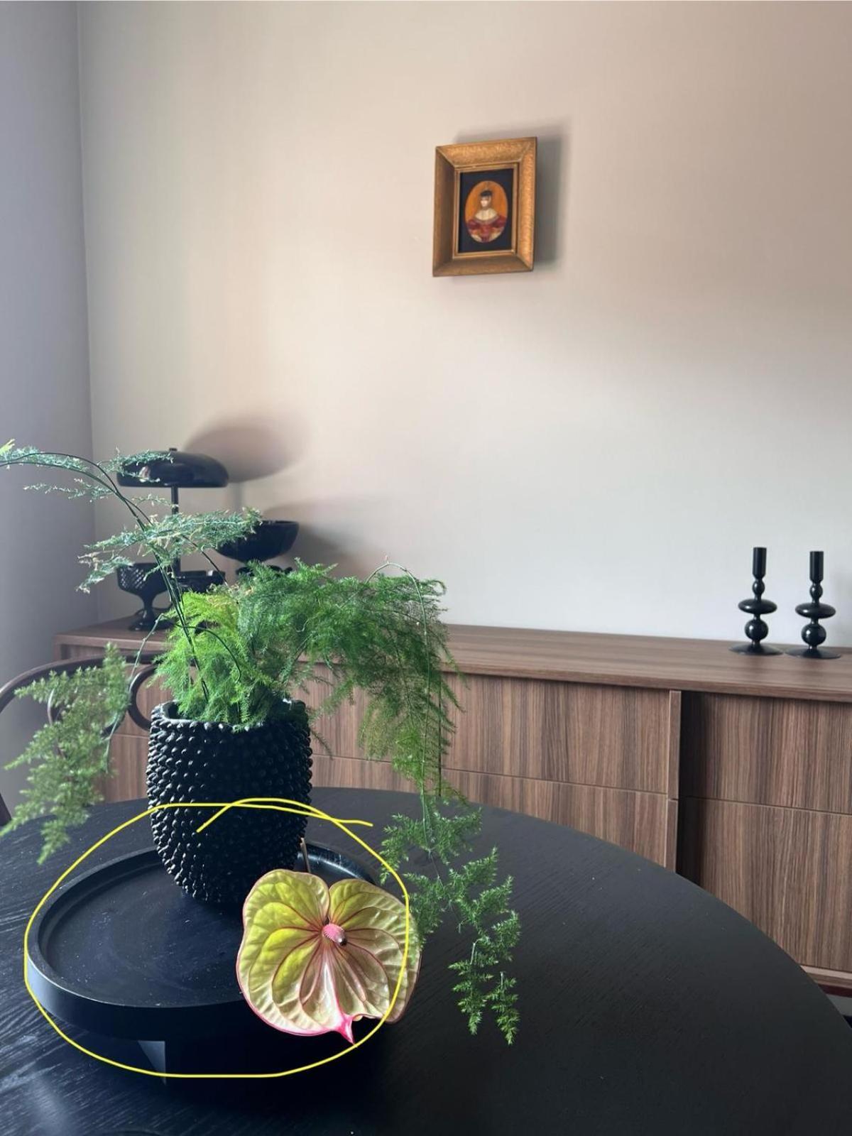 Entu Apartamenty Odrzanska Vratislav Exteriér fotografie